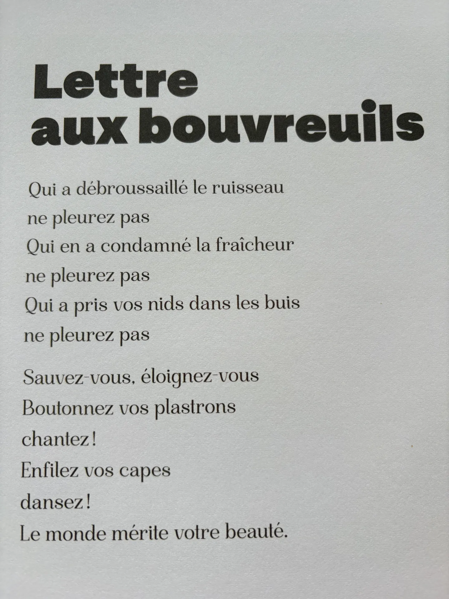 Aux oiseaux